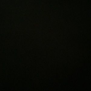 Meet your Posher, Lily